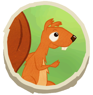 the Squirrel